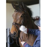 Gants de nettoyage Belvoir® Carr & Day & Martin Tack Cleaner Blanc Gants de nettoyage Belvoir® Carr & Day & Martin Tack Cleaner Blanc