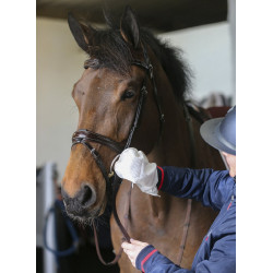 Gants de nettoyage Belvoir® Carr & Day & Martin Tack Cleaner Gants de nettoyage Belvoir® Carr & Day & Martin Tack Cleaner