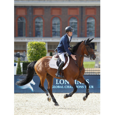 Tapis LeMieux Eurojump Suede Blanc / Argent / Blanc