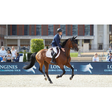 Tapis LeMieux Eurojump Suede Blanc / Argent / Blanc