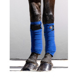 Bandes de polo LeMieux Luxury Bleu benetton Bandes de polo LeMieux Luxury Bleu benetton