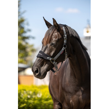 Licol et longe Lemieux Vogue Noir / gris