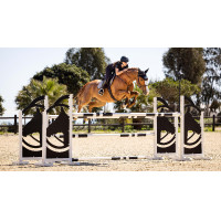 Tapis LeMieux EJ binding - suede Blanc / Argent / Blanc