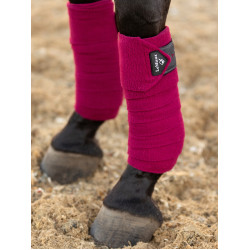 Bandes de polo LeMieux Luxury Mûre Bordeaux Bandes de polo LeMieux Luxury Mûre Bordeaux