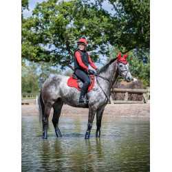 Tapis LeMieux Suede GP Square Chilli Rouge Tapis LeMieux Suede GP Square Chilli Rouge