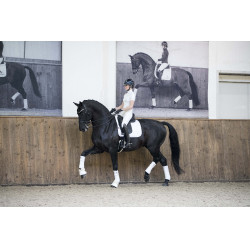 Tapis LeMieux Loire Classic Dressage Square Blanc Tapis LeMieux Loire Classic Dressage Square Blanc
