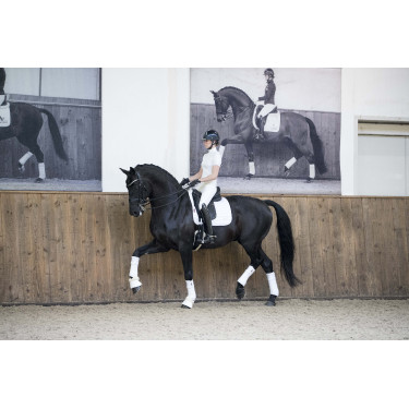 Tapis LeMieux Loire Classic Dressage Square Tapis LeMieux Loire Classic Dressage Square