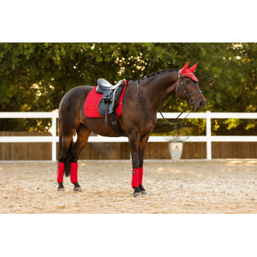 Tapis LeMieux Suede Dressage Square Chilli Rouge
