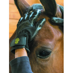 Gant de pansage LeMieux Hands On Noir