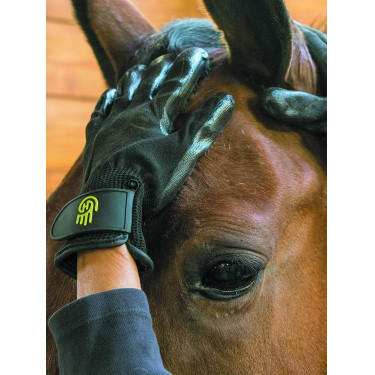 Gant de pansage LeMieux Hands On Gant de pansage LeMieux Hands On