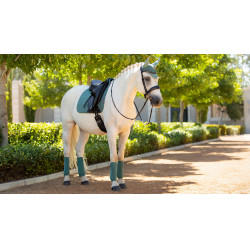 Bandes de polo LeMieux Luxury Sage Bleu Bandes de polo LeMieux Luxury Sage Bleu