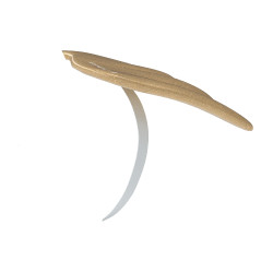 Ailes pour Mini Poney LeMieux Doré