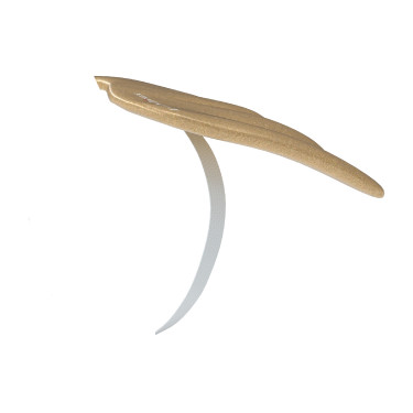 Ailes pour Mini Poney LeMieux Doré