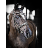 Bridon de dressage LeMieux Arika Noir / argent Bridon de dressage LeMieux Arika Noir / argent