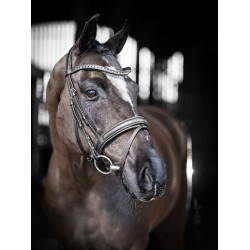 Bridon de dressage LeMieux Arika Noir / argent
