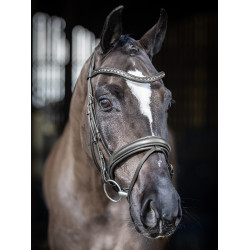 Bridon de dressage LeMieux Arika Noir / argent