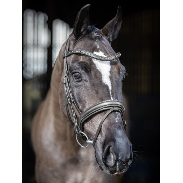 Bridon de dressage LeMieux Arika Bridon de dressage LeMieux Arika