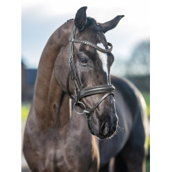 Bridon de dressage LeMieux Arika Noir / argent