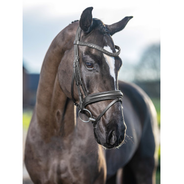 Bridon de dressage LeMieux Arika Bridon de dressage LeMieux Arika
