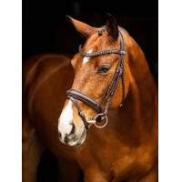 Bridon de dressage LeMieux Arika Noir / argent Bridon de dressage LeMieux Arika Noir / argent