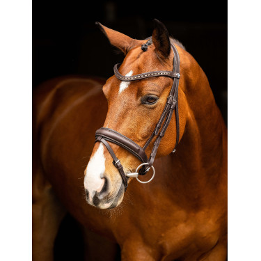 Bridon de dressage LeMieux Arika Bridon de dressage LeMieux Arika