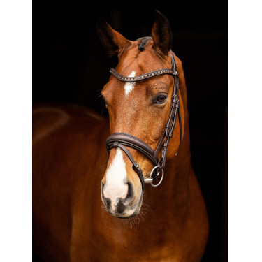Bridon de dressage LeMieux Arika Bridon de dressage LeMieux Arika