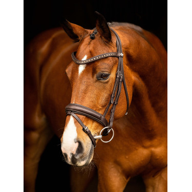Bridon de dressage LeMieux Arika Bridon de dressage LeMieux Arika