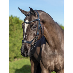 Bridon LeMieux Arika muserolle allemande Noir / argent