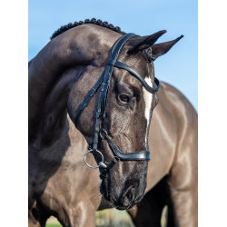 Bridon LeMieux Arika muserolle allemande Noir / argent