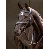 Bridon LeMieux Arika muserolle croisée Noir / argent Bridon LeMieux Arika muserolle croisée Noir / argent