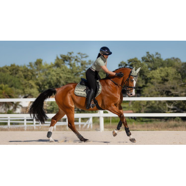Tapis LeMieux Loire Classic Close Contact Square Tapis LeMieux Loire Classic Close Contact Square