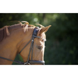 Protège nuque velcro Protège nuque velcro