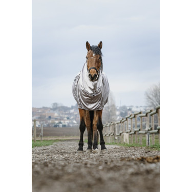 Chemise anti-eczéma Riding World Chemise anti-eczéma Riding World