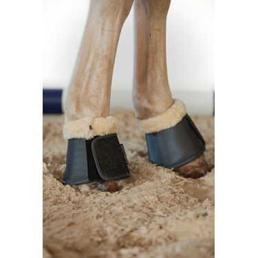 Cloches Harcour Belly