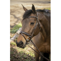 Bridon Pénélope Smoothie Havane Marron Bridon Pénélope Smoothie Havane Marron