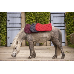 Tapis Paddock Sports Prems Gris Tapis Paddock Sports Prems Gris