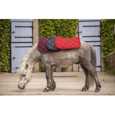 Tapis Paddock Sports Prems Tapis Paddock Sports Prems