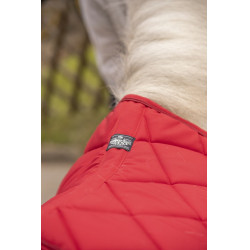 Tapis Paddock Sports Prems Gris Tapis Paddock Sports Prems Gris