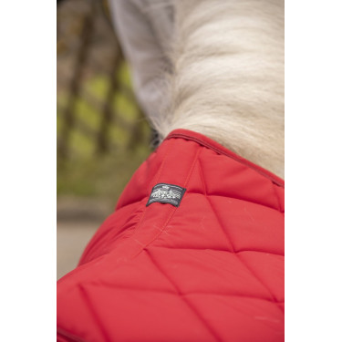Tapis Paddock Sports Prems Tapis Paddock Sports Prems