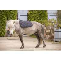 Tapis Paddock Sports Prems Noir Tapis Paddock Sports Prems Noir