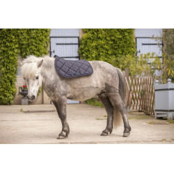 Tapis Paddock Sports Prems Gris Tapis Paddock Sports Prems Gris