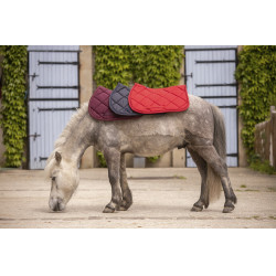 Tapis Paddock Sports Prems Gris Tapis Paddock Sports Prems Gris