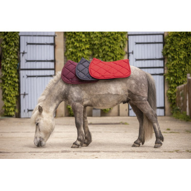 Tapis Paddock Sports Prems Tapis Paddock Sports Prems