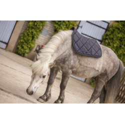Tapis Paddock Sports Prems Gris Tapis Paddock Sports Prems Gris