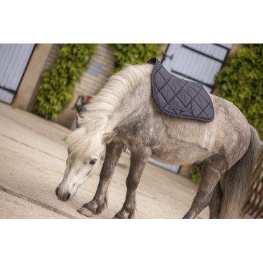 Tapis Paddock Sports Prems Tapis Paddock Sports Prems