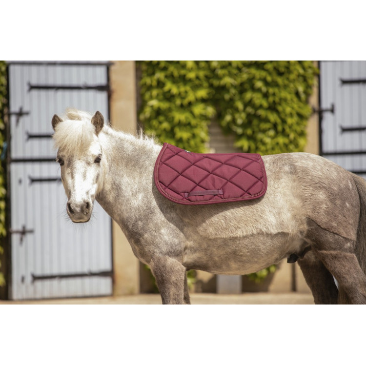 Tapis Paddock Sports Prems Tapis Paddock Sports Prems