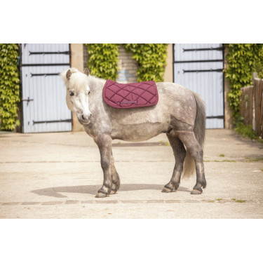 Tapis Paddock Sports Prems Tapis Paddock Sports Prems