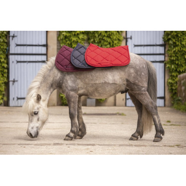 Tapis Paddock Sports Prems Tapis Paddock Sports Prems