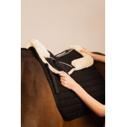 Amortisseur de dos Harleigh Horze Noir Amortisseur de dos Harleigh Horze Noir