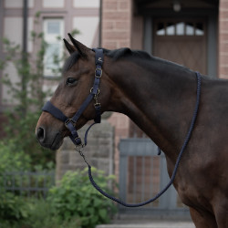 Licol matelassé Graz Horze Bleu foncé peacoat